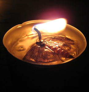 moth and candle